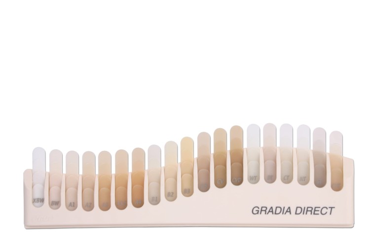 Gradia 2.jpg